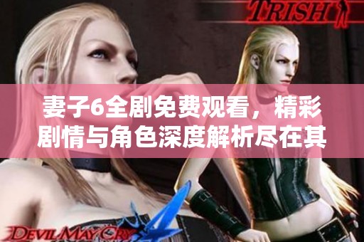 妻子6全剧免费观看，精彩剧情与角色深度解析尽在其中