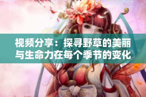 视频分享：探寻野草的美丽与生命力在每个季节的变化中