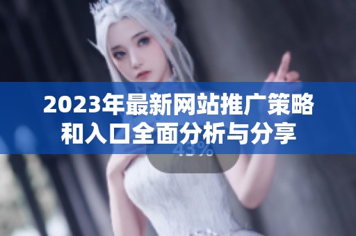 2023年最新网站推广策略和入口全面分析与分享