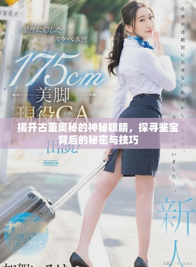揭开古董奥秘的神秘眼睛，探寻鉴宝背后的秘密与技巧