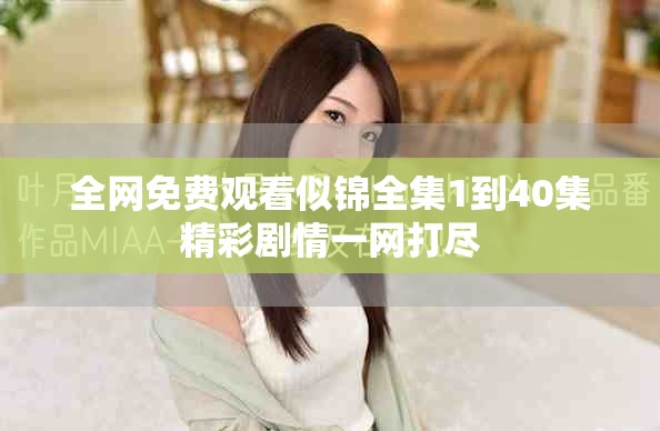 全网免费观看似锦全集1到40集精彩剧情一网打尽
