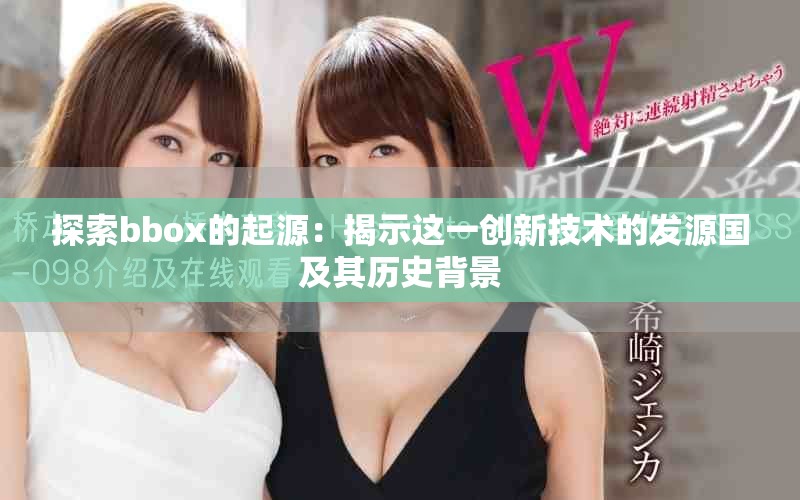 探索bbox的起源：揭示这一创新技术的发源国及其历史背景