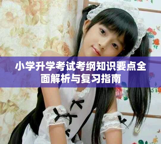 小学升学考试考纲知识要点全面解析与复习指南