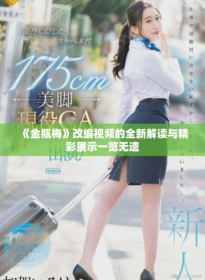 《金瓶梅》改编视频的全新解读与精彩展示一览无遗