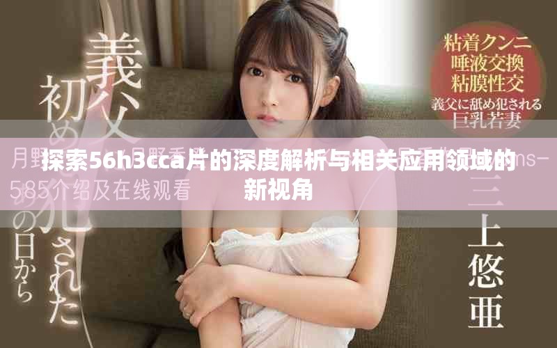 探索56h3cca片的深度解析与相关应用领域的新视角