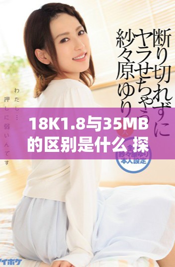 18K1.8与35MB的区别是什么 探索它们在应用中的不同效果