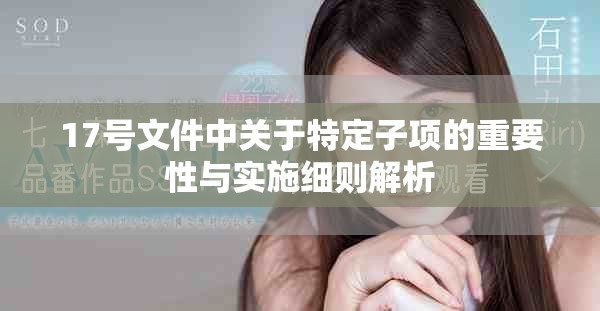 17号文件中关于特定子项的重要性与实施细则解析