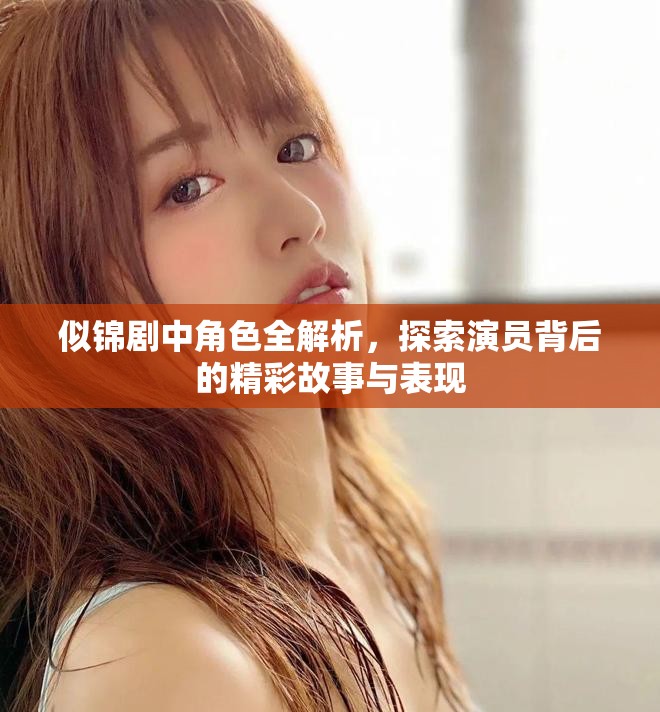 似锦剧中角色全解析，探索演员背后的精彩故事与表现