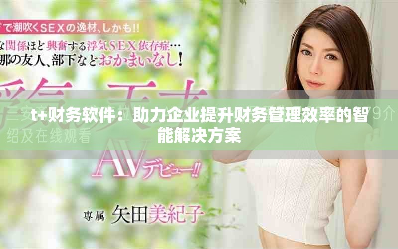 t+财务软件：助力企业提升财务管理效率的智能解决方案