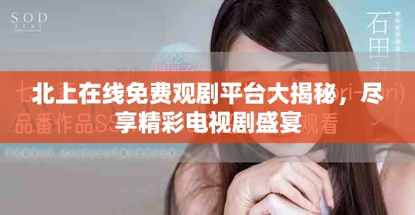 北上在线免费观剧平台大揭秘，尽享精彩电视剧盛宴
