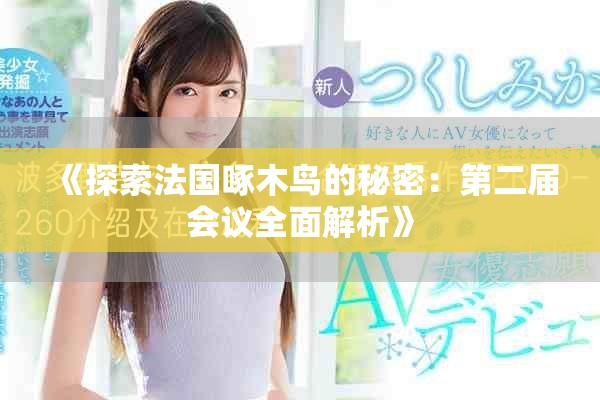 《探索法国啄木鸟的秘密：第二届会议全面解析》