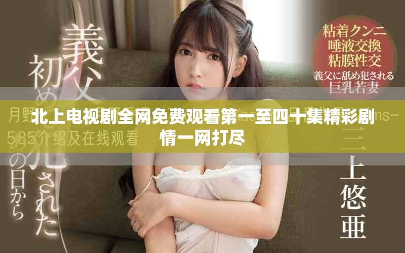 北上电视剧全网免费观看第一至四十集精彩剧情一网打尽