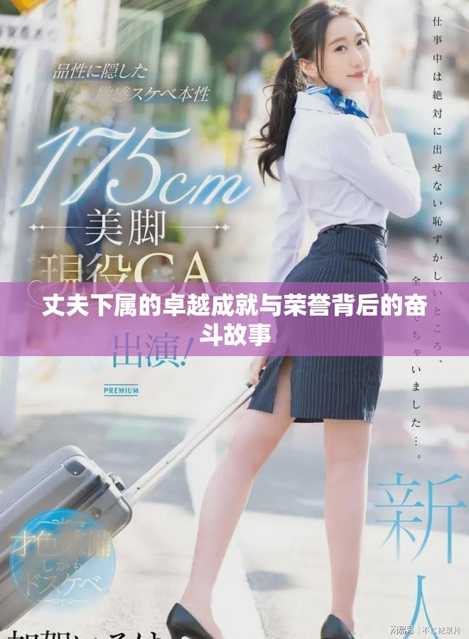 丈夫下属的卓越成就与荣誉背后的奋斗故事