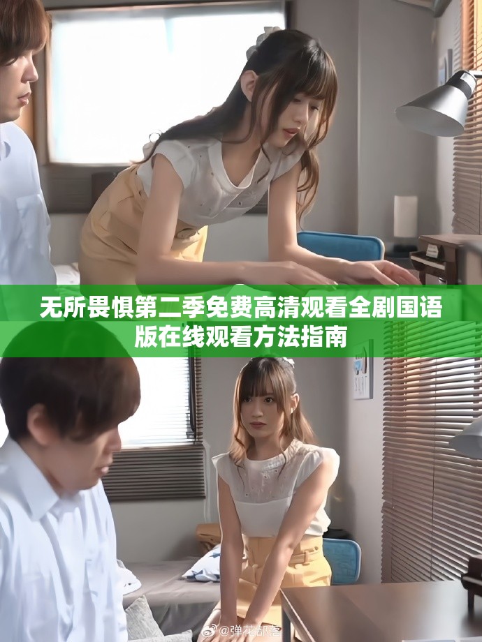 无所畏惧第二季免费高清观看全剧国语版在线观看方法指南