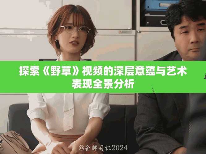 探索《野草》视频的深层意蕴与艺术表现全景分析