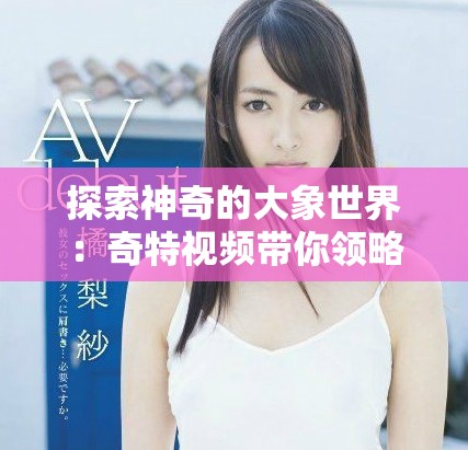 探索神奇的大象世界：奇特视频带你领略它们的生活与习性