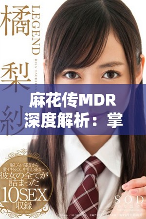 麻花传MDR深度解析：掌握其背后的故事与意义