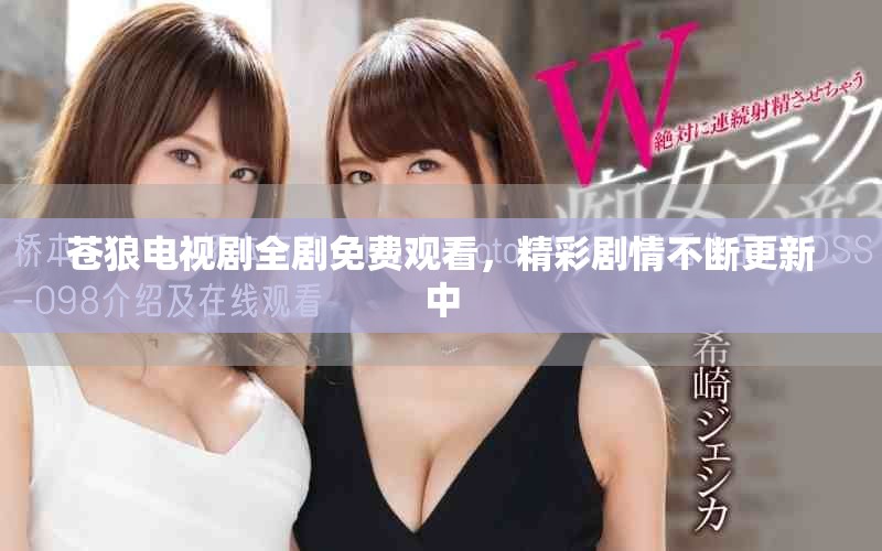 苍狼电视剧全剧免费观看，精彩剧情不断更新中