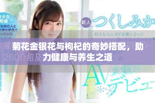 菊花金银花与枸杞的奇妙搭配，助力健康与养生之道