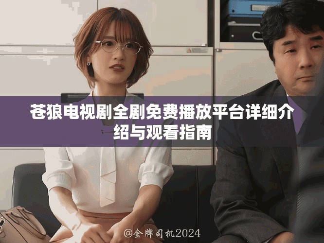 苍狼电视剧全剧免费播放平台详细介绍与观看指南