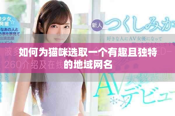 如何为猫咪选取一个有趣且独特的地域网名