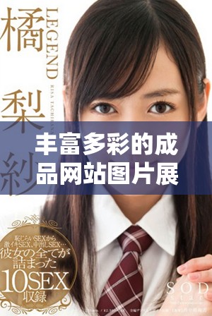 丰富多彩的成品网站图片展示与创意插图欣赏