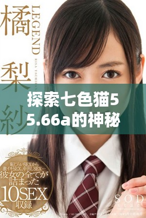 探索七色猫55.66a的神秘世界与独特魅力