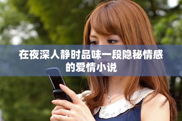 在夜深人静时品味一段隐秘情感的爱情小说