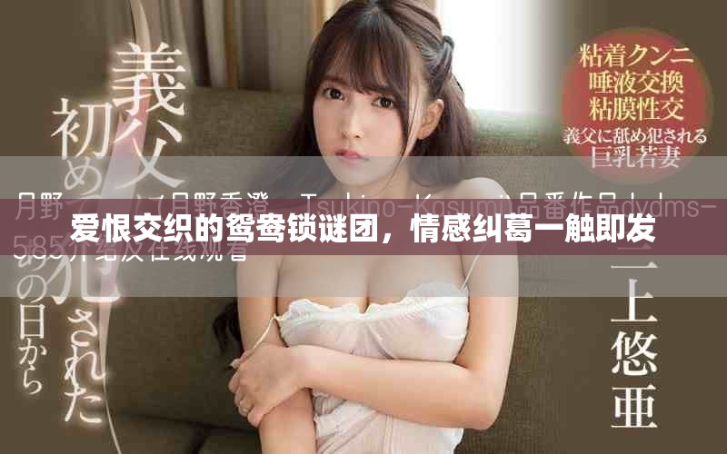 爱恨交织的鸳鸯锁谜团，情感纠葛一触即发