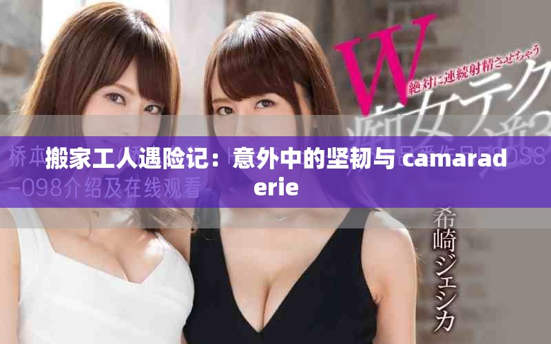 搬家工人遇险记：意外中的坚韧与 camaraderie