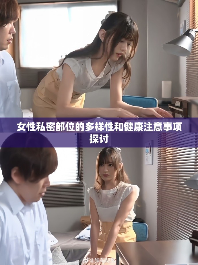 女性私密部位的多样性和健康注意事项探讨