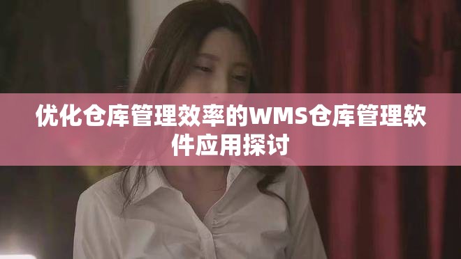 优化仓库管理效率的WMS仓库管理软件应用探讨