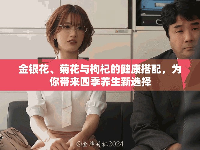 金银花、菊花与枸杞的健康搭配，为你带来四季养生新选择