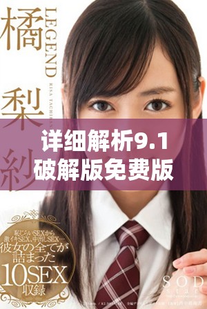 详细解析9.1破解版免费版的下载与安装步骤指南