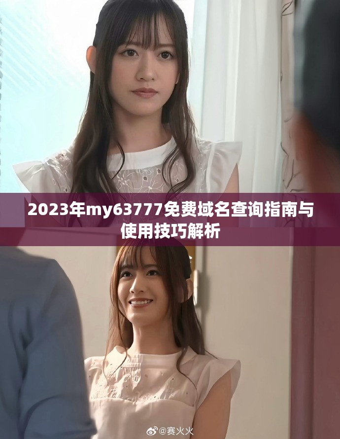 2023年my63777免费域名查询指南与使用技巧解析