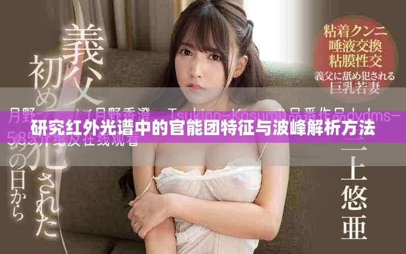 研究红外光谱中的官能团特征与波峰解析方法