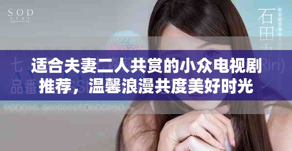 适合夫妻二人共赏的小众电视剧推荐，温馨浪漫共度美好时光