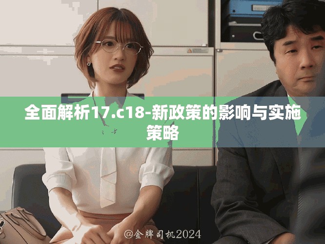 全面解析17.c18-新政策的影响与实施策略