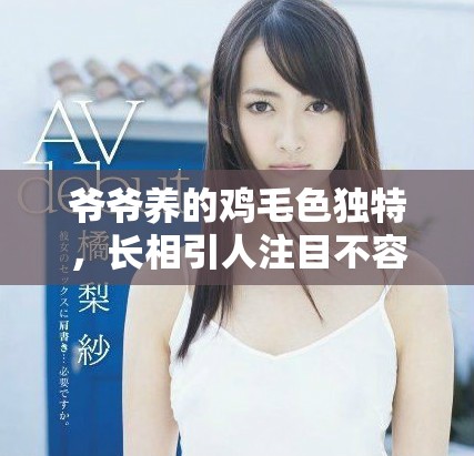 爷爷养的鸡毛色独特，长相引人注目不容忽视