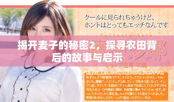 揭开麦子的秘密2，探寻农田背后的故事与启示