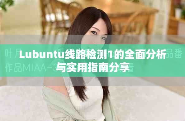 Lubuntu线路检测1的全面分析与实用指南分享