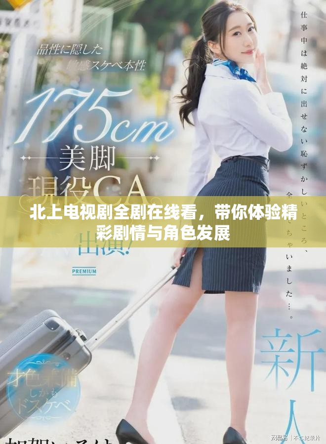 北上电视剧全剧在线看，带你体验精彩剧情与角色发展