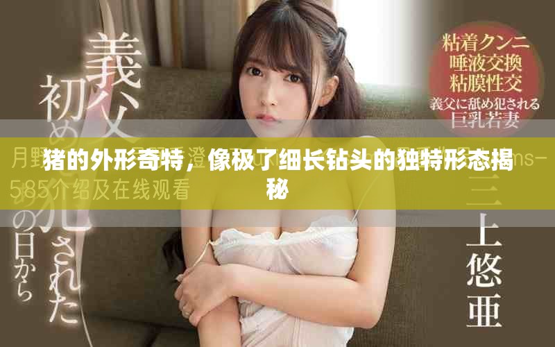 猪的外形奇特，像极了细长钻头的独特形态揭秘