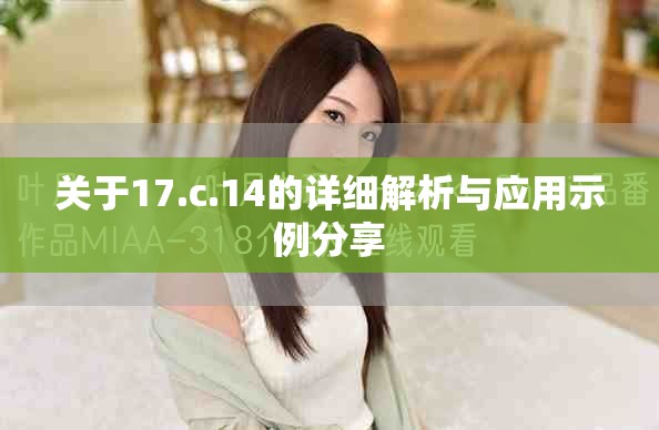 关于17.c.14的详细解析与应用示例分享