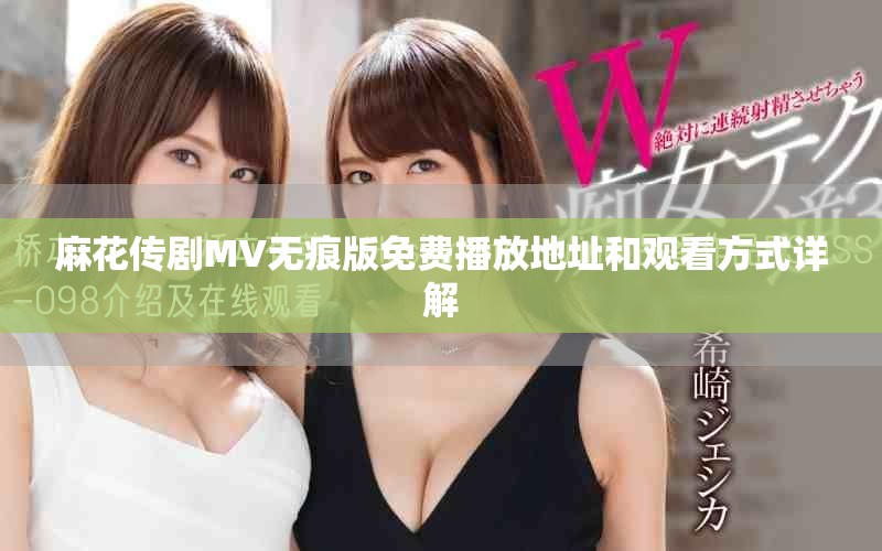麻花传剧MV无痕版免费播放地址和观看方式详解