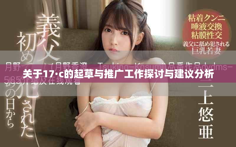 关于17·c的起草与推广工作探讨与建议分析