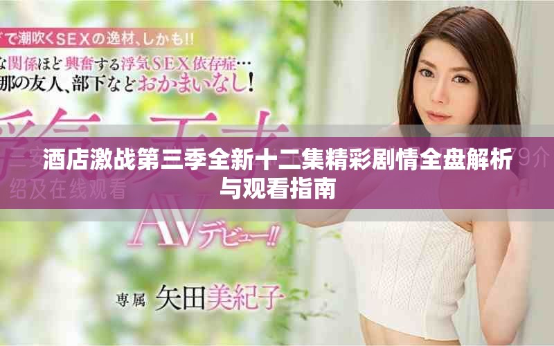 酒店激战第三季全新十二集精彩剧情全盘解析与观看指南