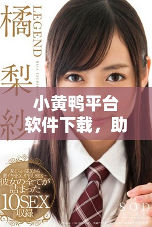 小黄鸭平台软件下载，助你高效防范风险安全问题
