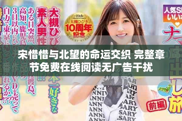 宋惜惜与北望的命运交织 完整章节免费在线阅读无广告干扰