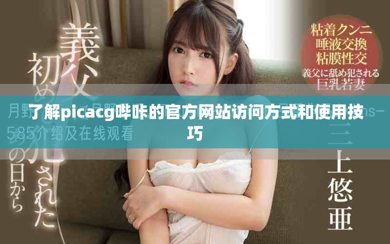 了解picacg哔咔的官方网站访问方式和使用技巧